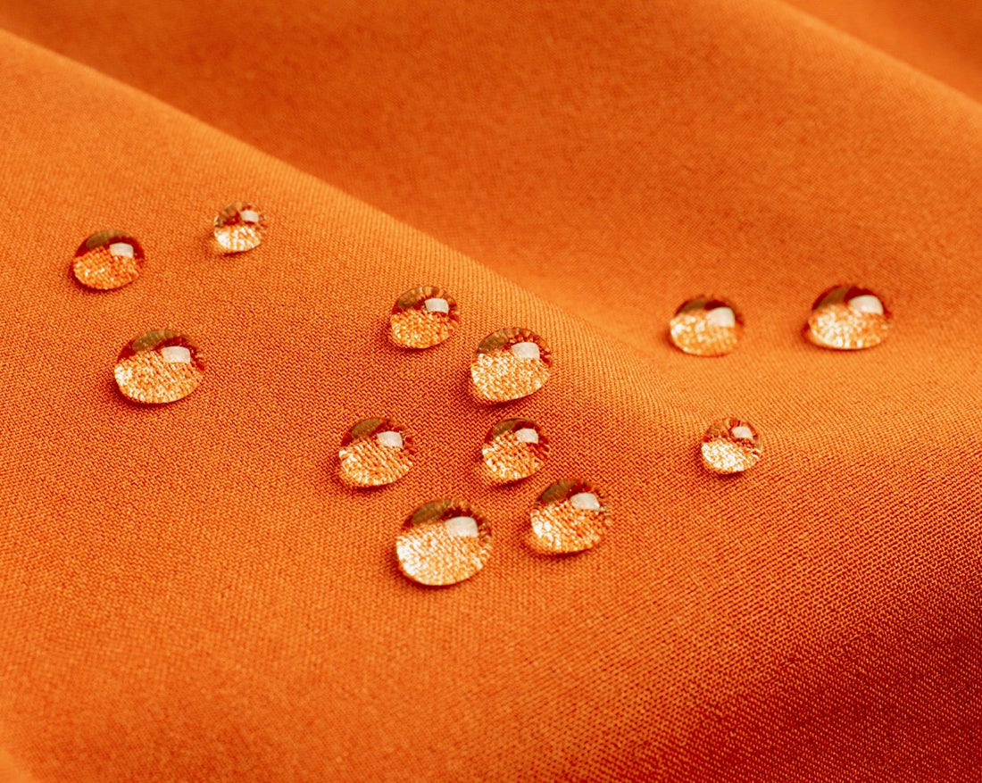 Why Should You Want a Water-Resistant Dog Bed?
