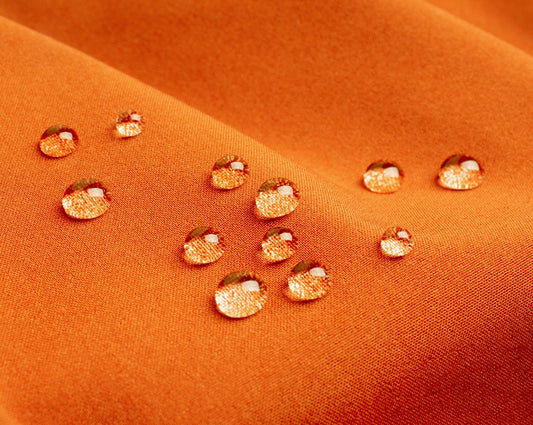 Why Should You Want a Water-Resistant Dog Bed?
