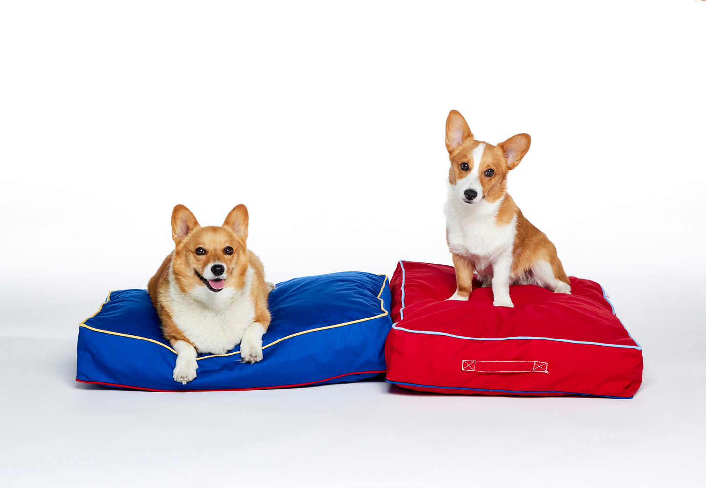 red dog bed with corgi | blue dog bed with corgi
