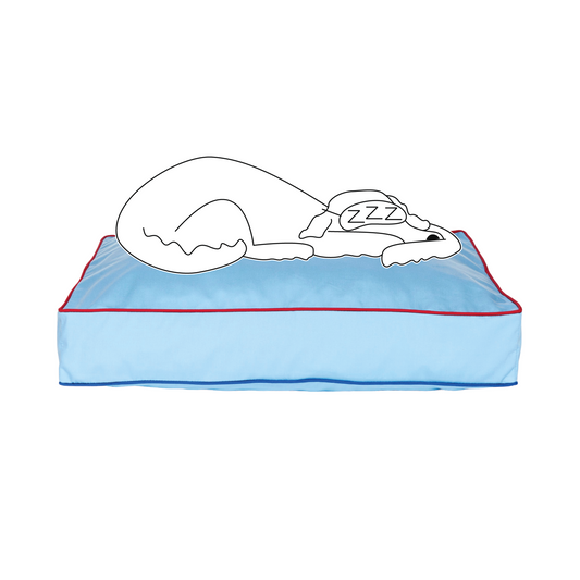 Piper (Sky Blue)