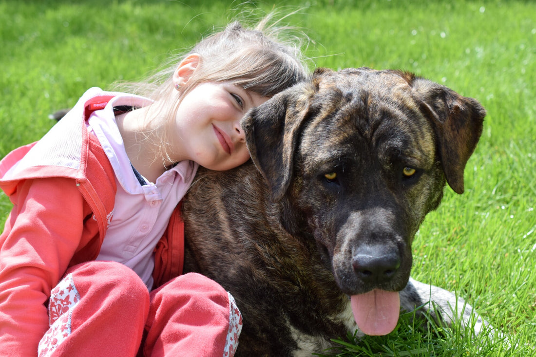 5 Benefits of Dogs for Kids