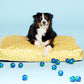 yellow dog bed | australian shepherd on dog bed