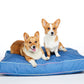 cool denim modern dog bed with stylish trim and 2 corgis perched on top
