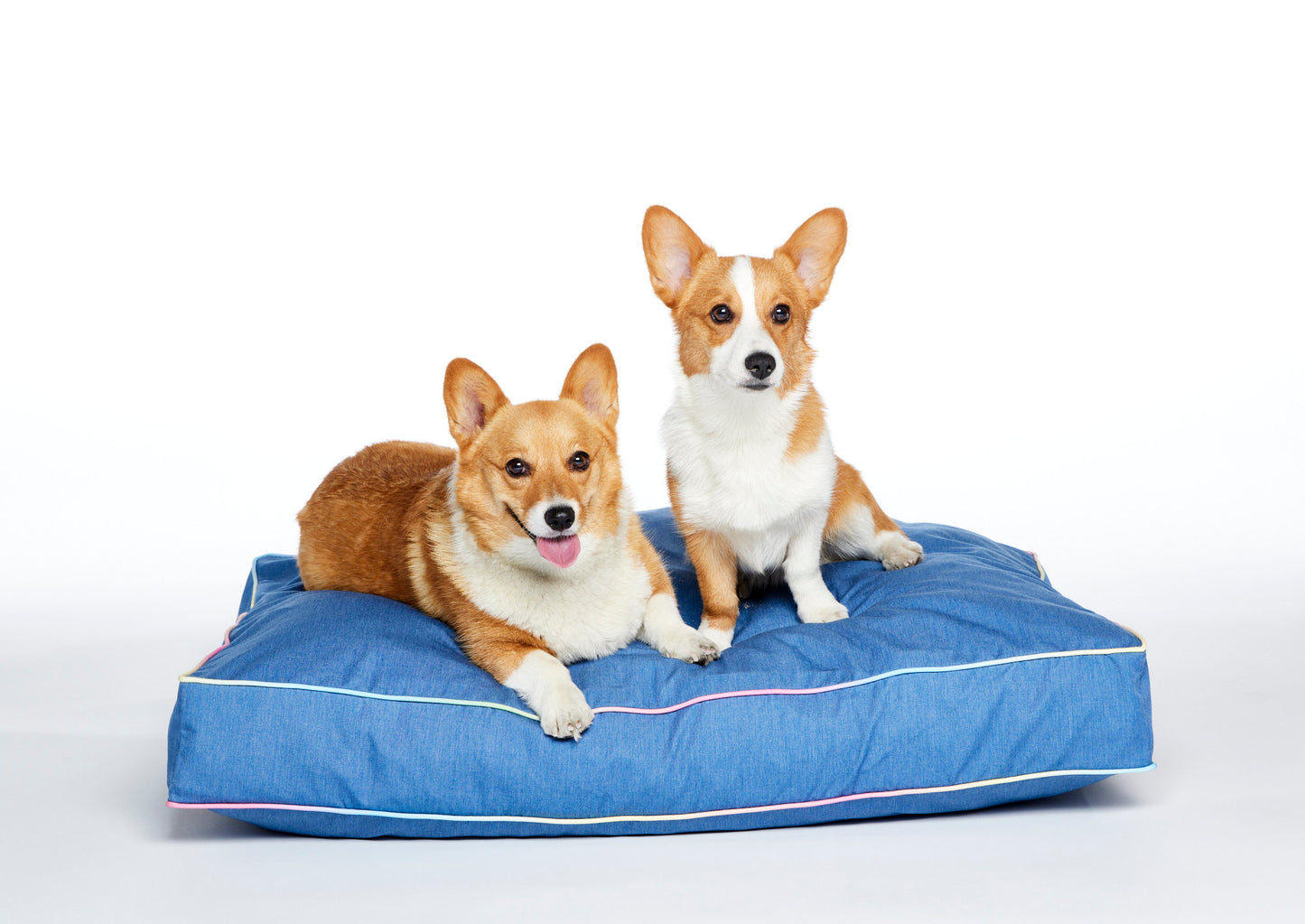 cool denim modern dog bed with stylish trim and 2 corgis perched on top