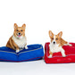 durable recycled dog beds with corgis