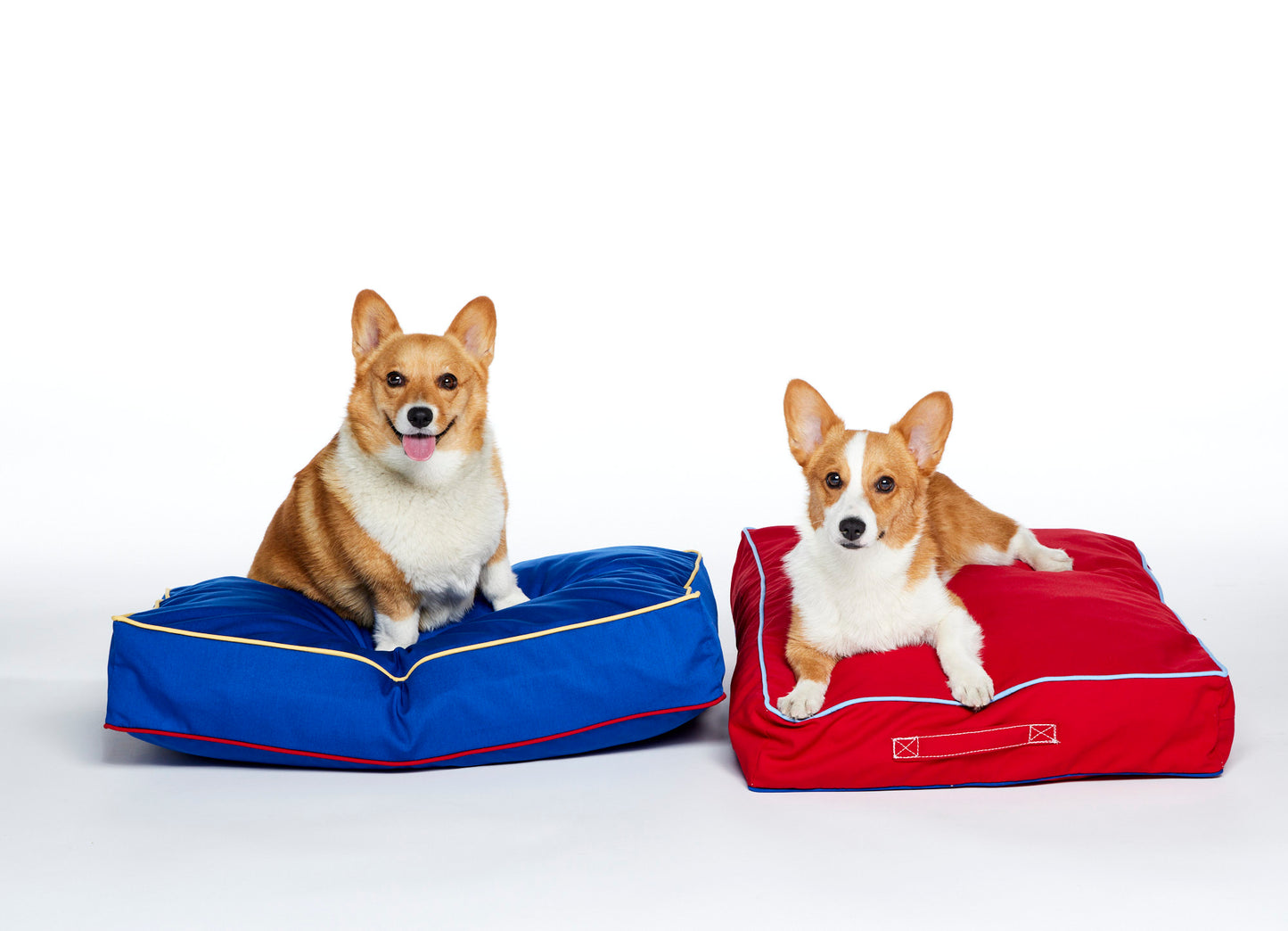 durable recycled dog beds with corgis