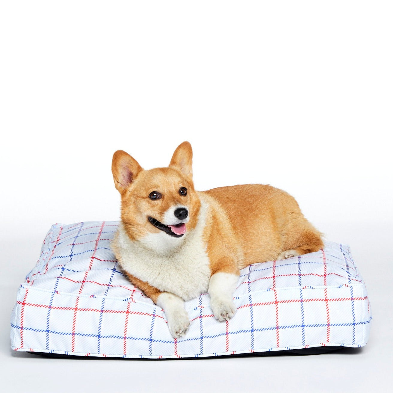 corgi dog bed | plaid dog bed | washable dog bed