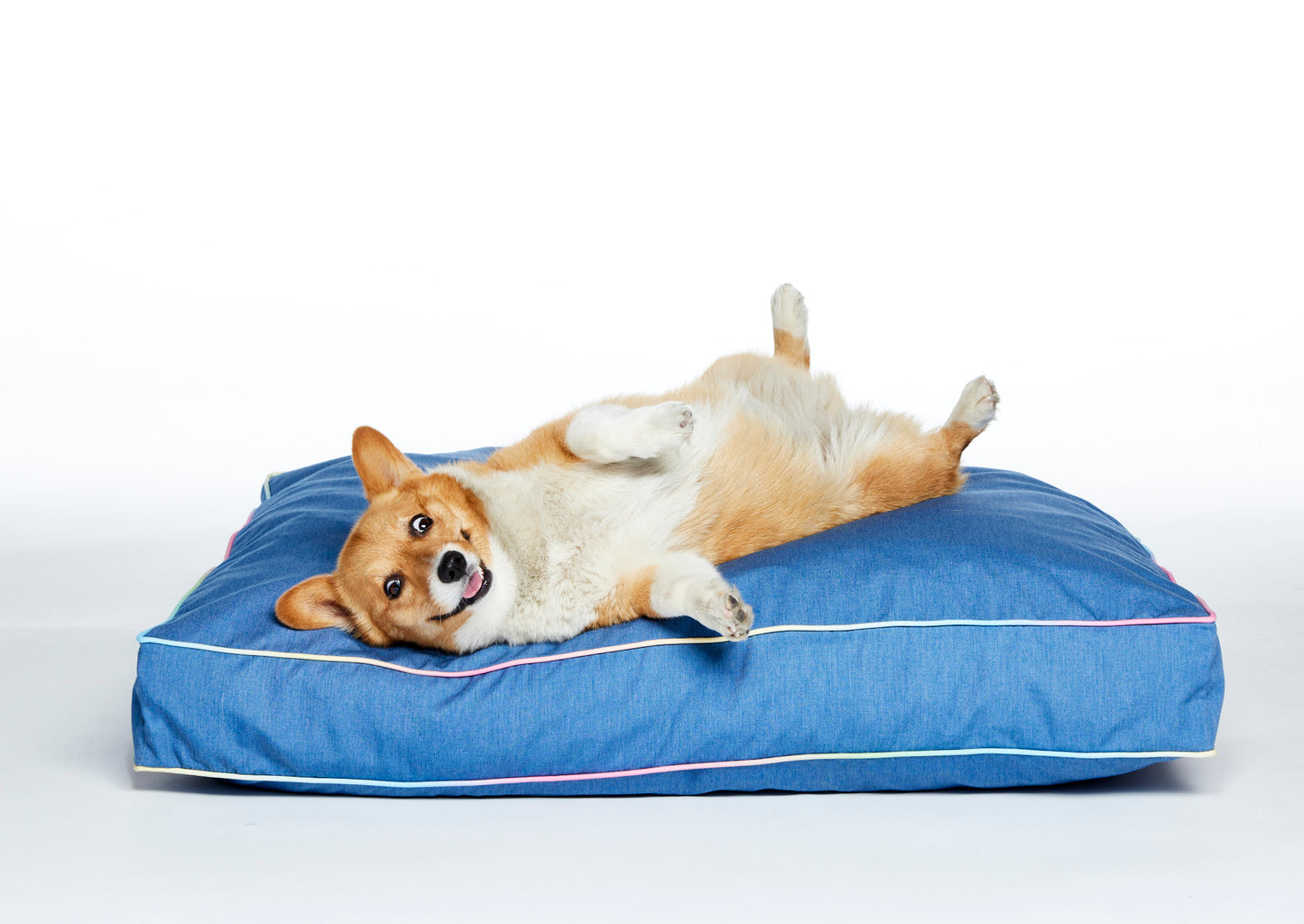 chic durable denim dog bed with goofy funny corgi