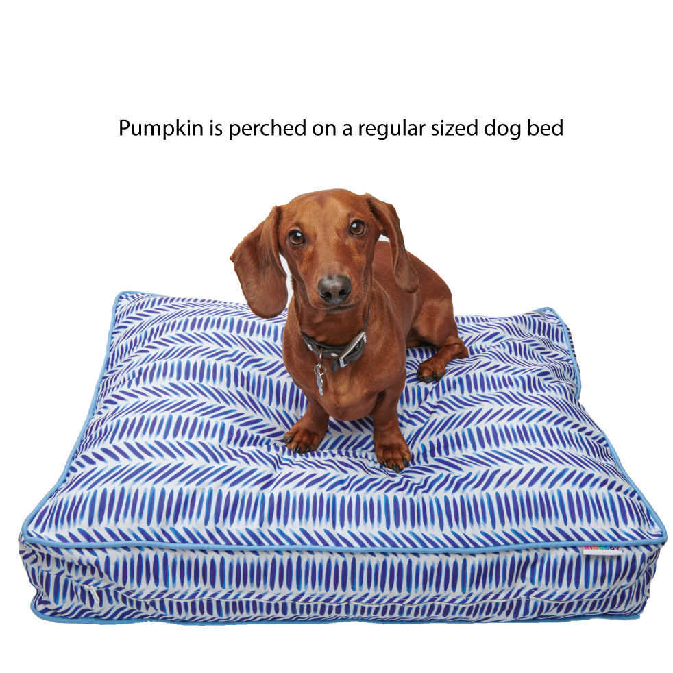 cute dog bed with dog on it | dachshund dog bed