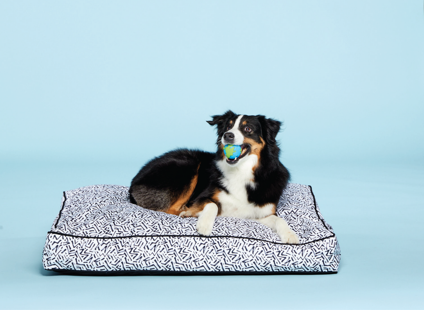 australian shepherd dog bed