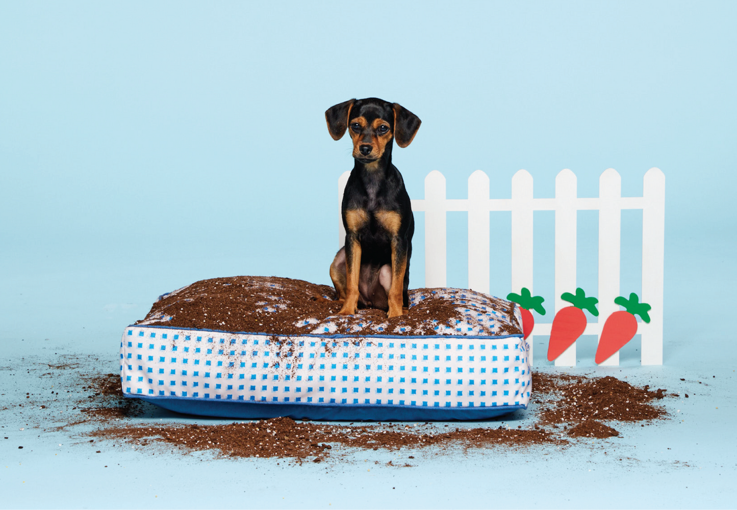 patterned dog bed | washable dog bed | bed for small dogs