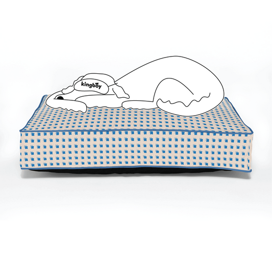 modern graphic playful dog bed | washable dog bed