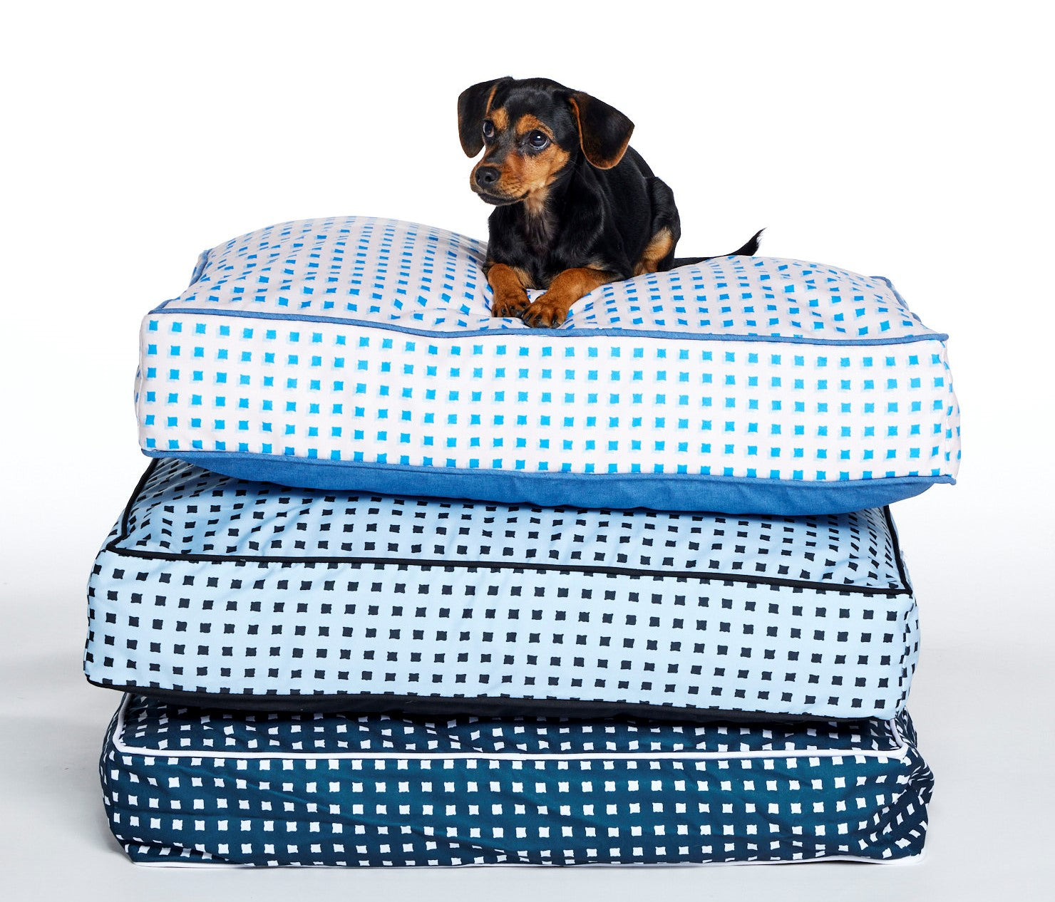 patterned dog bed | blue dog bed | stylish dog bed