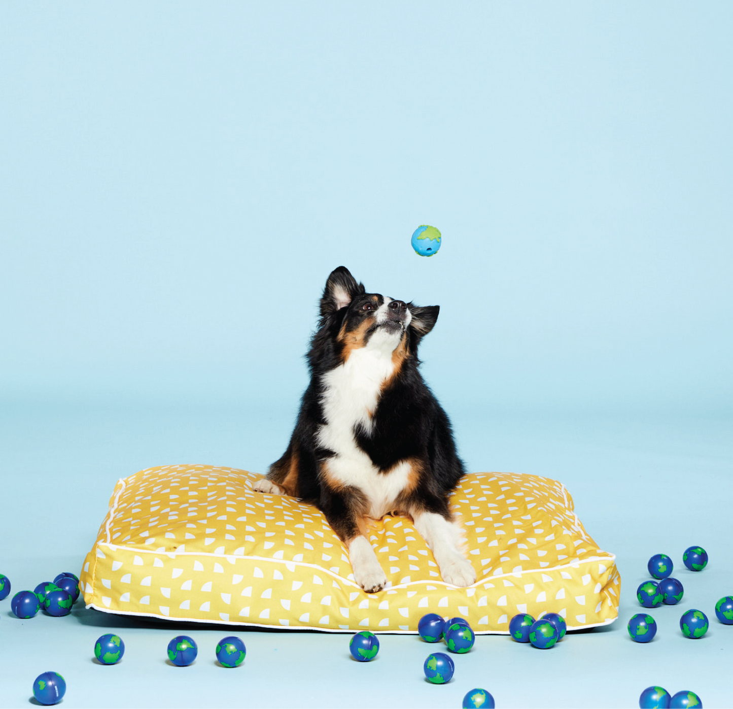 bright dog bed | patterned dog bed | stylish dog bed